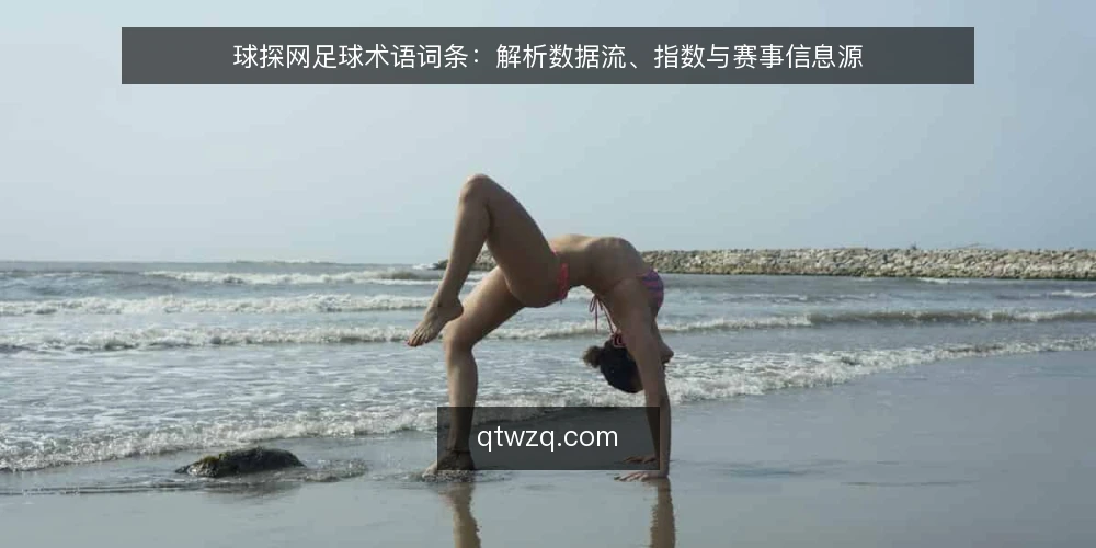 球探网足球术语词条:解析数据流、指数与赛事信息源 — 信息获取的常见困扰 配图